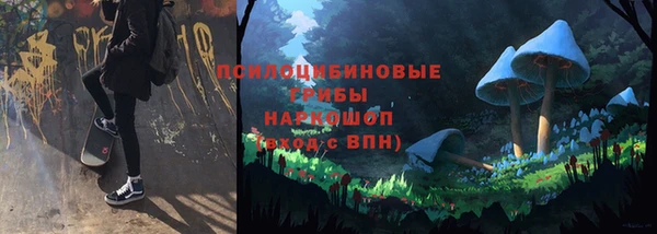 метадон Новозыбков