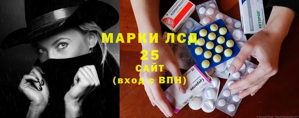 стафф Новодвинск