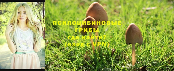 стафф Новодвинск