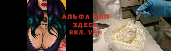 твердый Протвино