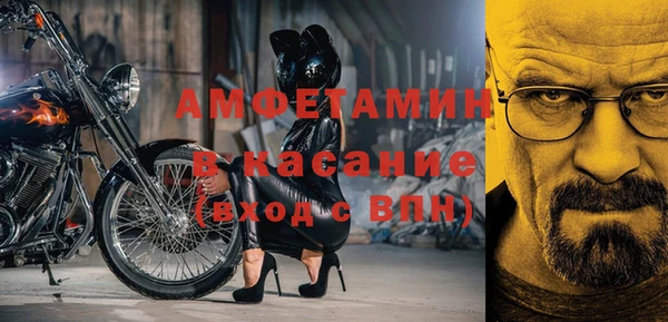 стафф Новодвинск