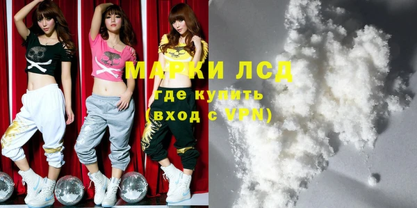 стафф Новодвинск
