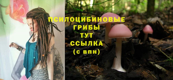 метадон Новозыбков