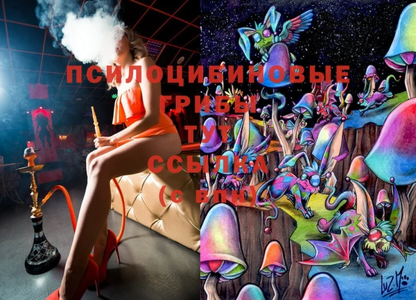стафф Новодвинск