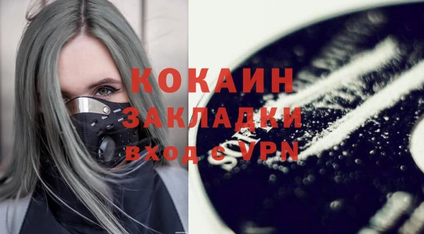 стафф Новодвинск