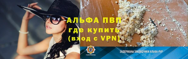стафф Новодвинск