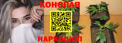 альфа пвп Гай