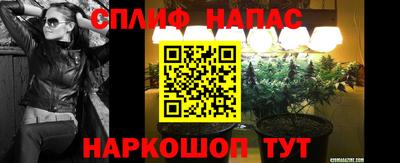 спиды Гагарин