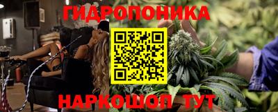 альфа пвп Гай