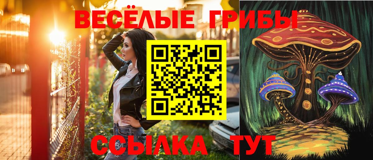 Магнитогорск  Галлюциногенные грибы Magic Shrooms  Вход с VPN 