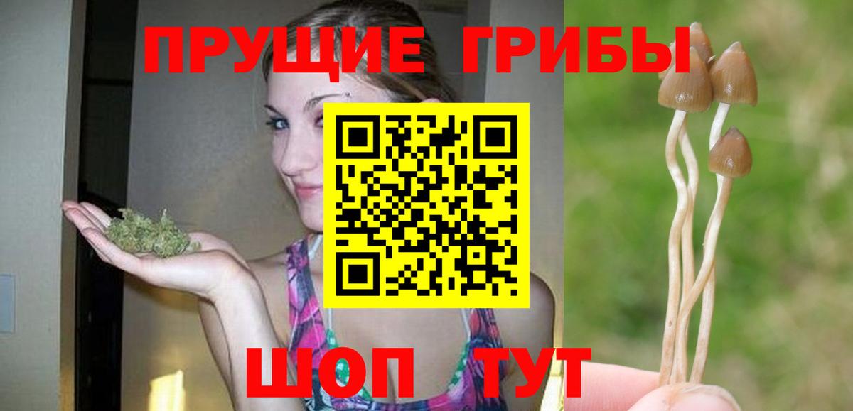 Галлюциногенные грибы Psilocybine cubensis Магнитогорск